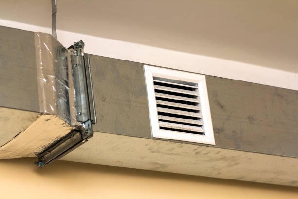 Best Professional Duct Cleaning Services  in Clearlake Riviera, CA